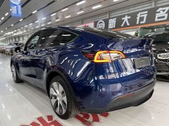 Tesla Model Y Long Range Edition 3D7 - ფოტო 9