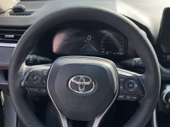 Tesla 2.0L CVT2WDLuxuryPLUS Edition - ფოტო 11