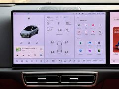 Li Auto L6 Max Edition - ფოტო 13