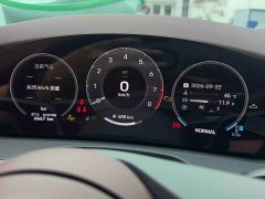 Porsche Panamera 2.9T - ფოტო 8