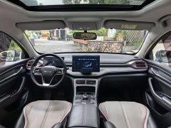 BYD 05 Edition DM-i 55KM Premium Version - ფოტო 9