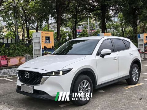 2024 BYD CX-5 2.0L 2WD Version - ავტომობილი ჩინეთიდან