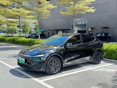 Tesla Model Y Long Range Edition - ფოტო 1