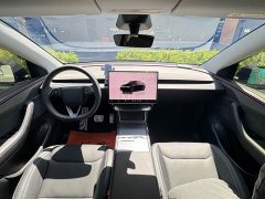 Tesla Model Y Long Range Edition - ფოტო 11