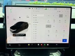 Tesla Model Y Long Range Edition - ფოტო 16