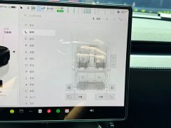Tesla Model Y Long Range Edition - ფოტო 17