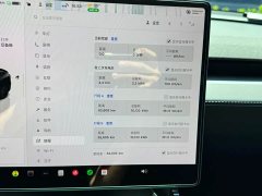 Tesla Model Y Long Range Edition - ფოტო 18