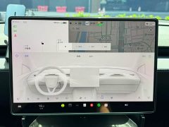 Tesla Model Y Long Range Edition - ფოტო 19