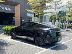 Tesla Model Y Long Range Edition - ფოტო 7
