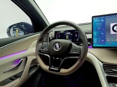 BYD Pro Edition DM-i 71KM Version - ფოტო 11