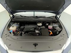 BYD Pro Edition DM-i 71KM Version - ფოტო 15