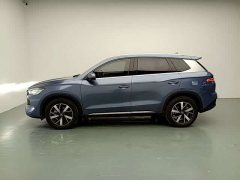 BYD Pro Edition DM-i 71KM Version - ფოტო 4
