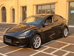 Tesla Model Y Edition - ფოტო 1