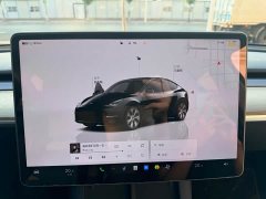 Tesla Model Y Edition - ფოტო 12