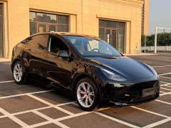 Tesla Model Y Edition - ფოტო 3