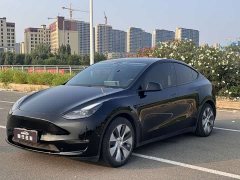 Tesla Model Y Standard Range Edition - ფოტო 1