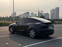 Tesla Model Y Standard Range Edition - ფოტო 19