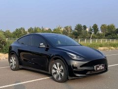 Tesla Model Y Standard Range Edition - ფოტო 3