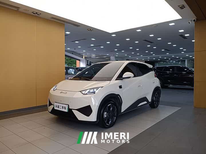 BYD Smart Drive Edition 405km Edition - ავტომობილი ჩინეთიდან