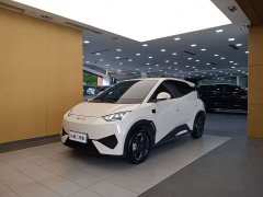 BYD Smart Drive Edition 405km Edition - ფოტო 1