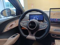 BYD Smart Drive Edition 405km Edition - ფოტო 14