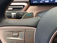 BYD Smart Drive Edition 405km Edition - ფოტო 15