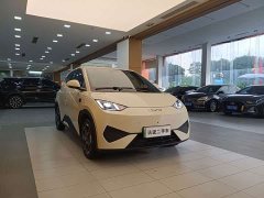 BYD Smart Drive Edition 405km Edition - ფოტო 4