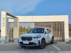 BMW X1 xDrive25Li X - фото 1