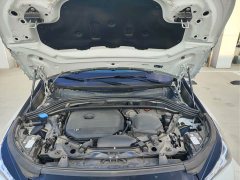 BMW X1 xDrive25Li X - фото 13