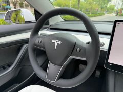 Tesla Model 3 Edition - ფოტო 14