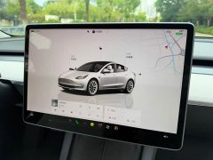 Tesla Model 3 Edition - ფოტო 15