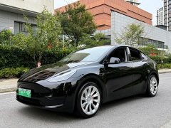 Tesla Model Y Edition - ფოტო 1