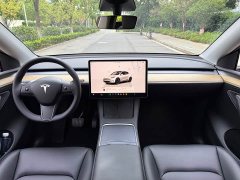 Tesla Model Y Edition - ფოტო 11