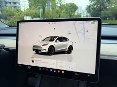 Tesla Model Y Edition - ფოტო 15