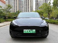 Tesla Model Y Edition - ფოტო 2