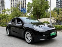 Tesla Model Y Edition - ფოტო 3