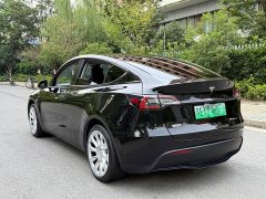 Tesla Model Y Edition - ფოტო 4