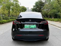 Tesla Model Y Edition - ფოტო 5