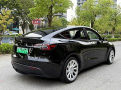 Tesla Model Y Edition - ფოტო 6
