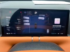 Xpeng G9 725 Max - photo 20