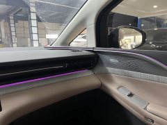 Xpeng X9 EREV 1602 Max - ფოტო 14