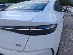 BYD 550km Standard Range Edition Version - фото 14