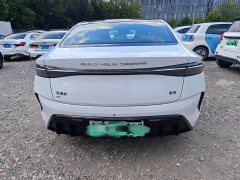 BYD 550km Standard Range Edition Version - фото 5
