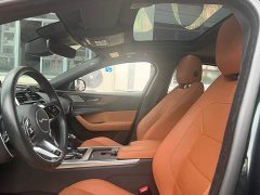 BYD XEL 2.0T 250PS R-DYNAMIC S Edition - фото 15