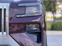 Zeekr 8X Ultra Edition 70kWh - ფოტო 8