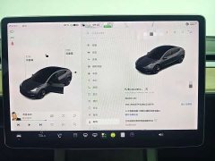 Tesla Model 3 Standard Range Edition - фото 14