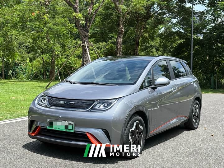 BYD 405km Fashion Edition - ავტომობილი ჩინეთიდან