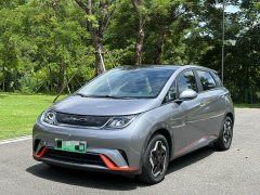 BYD 405km Fashion Edition - ფოტო 1