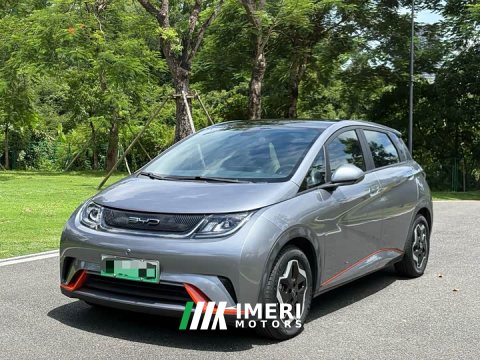 2022 BYD 405km Fashion Edition - ავტომობილი ჩინეთიდან