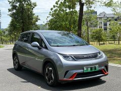 BYD 405km Fashion Edition - ფოტო 3